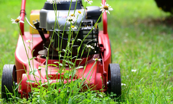 Gartenpflege